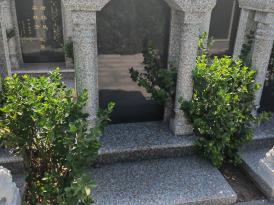 陵园墓地